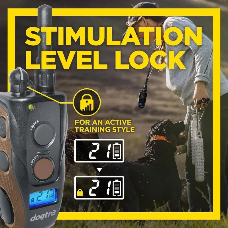 Dogtra Remote Training Collar Handsfree Square Mile Range