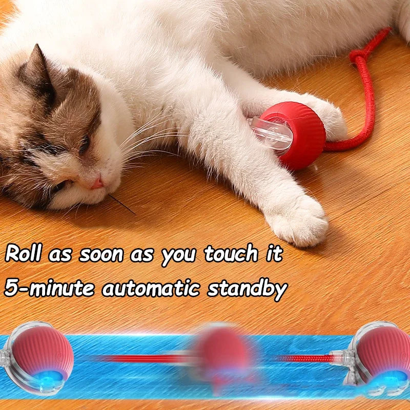 Smart Rechargeable Cat Interactive Rolling Ball Toy with Tail