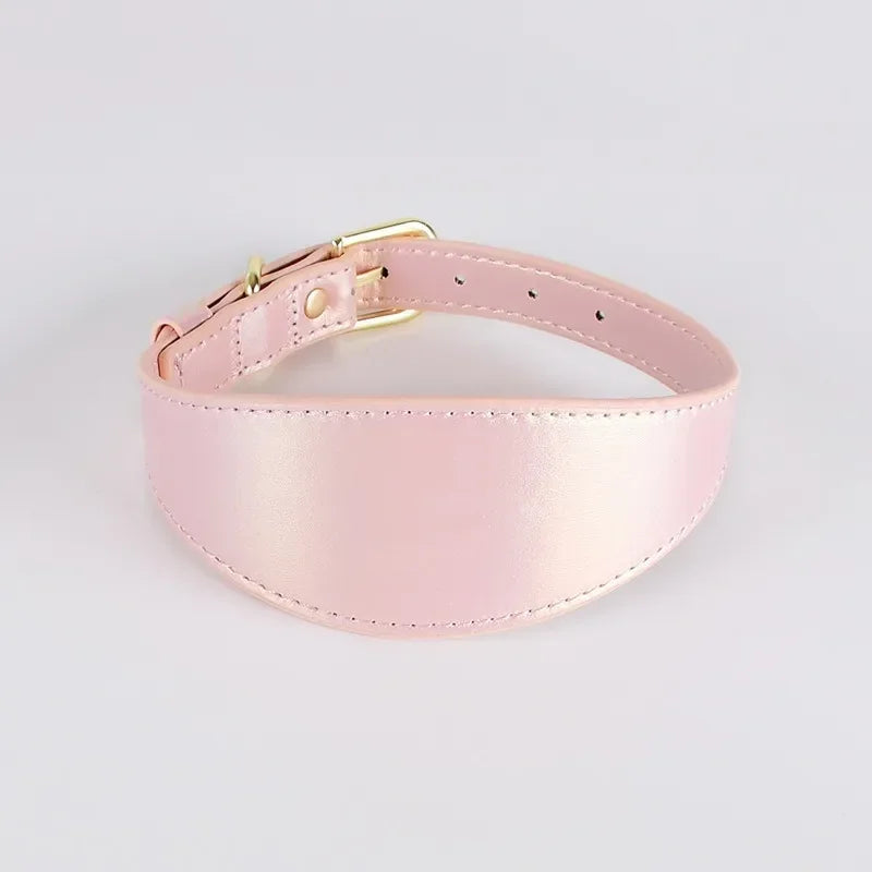 Guangdong Reflective Leather Dog Collar Light Reflecting