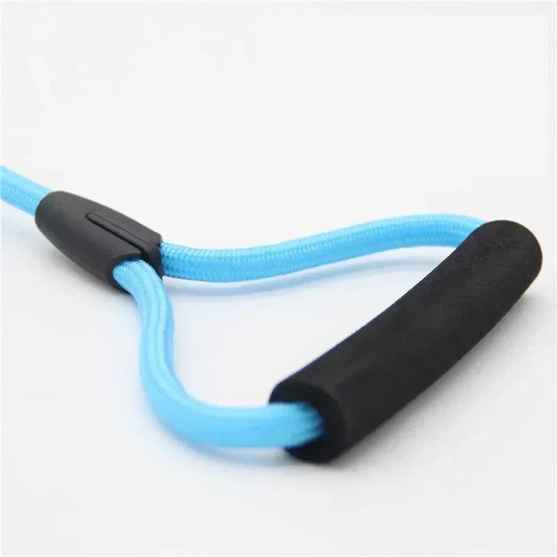 Guangdong Double Nylon Dog Leash With Twin Coupler