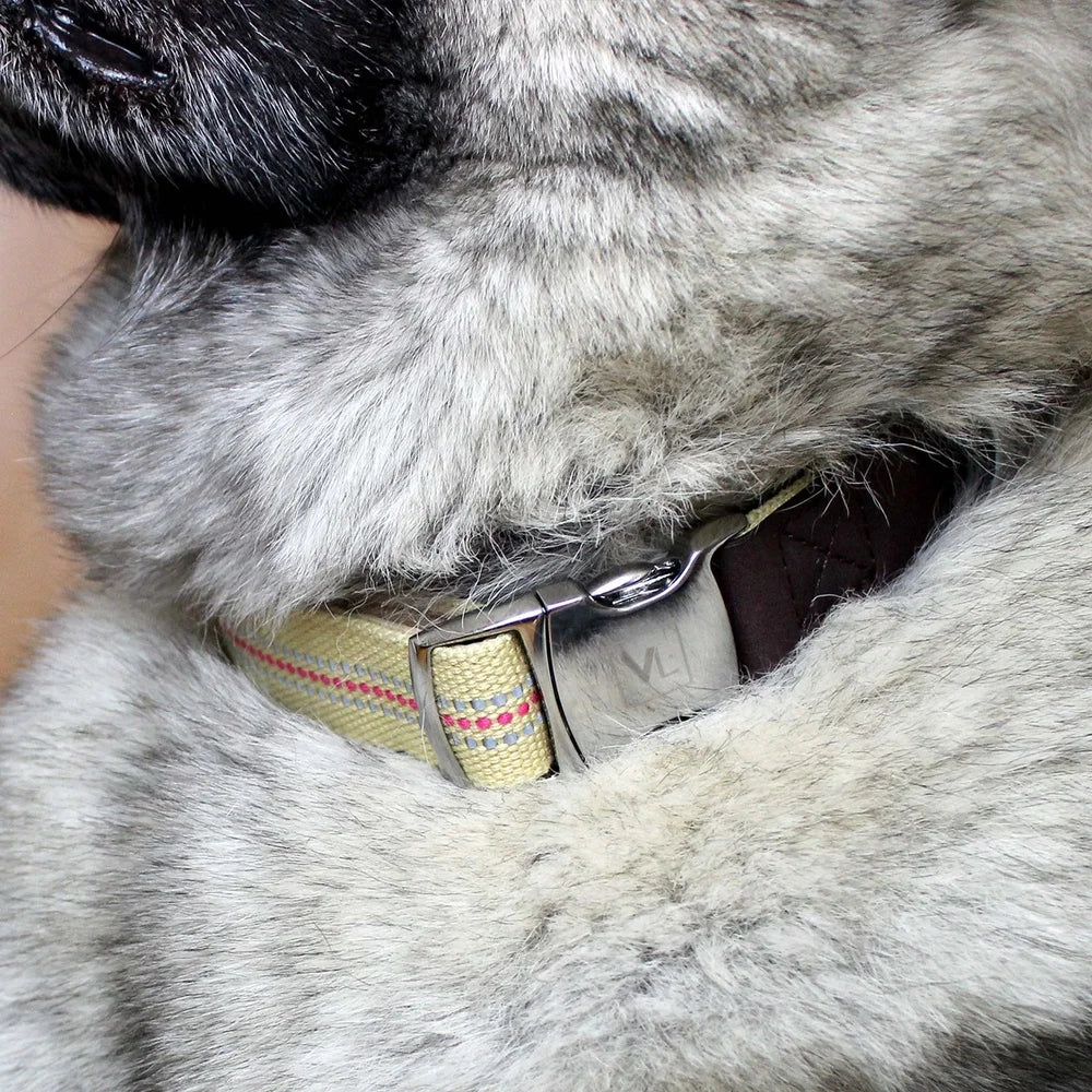 DUTRIEUX Reflective Nylon Dog Collar PU Leather Attachment