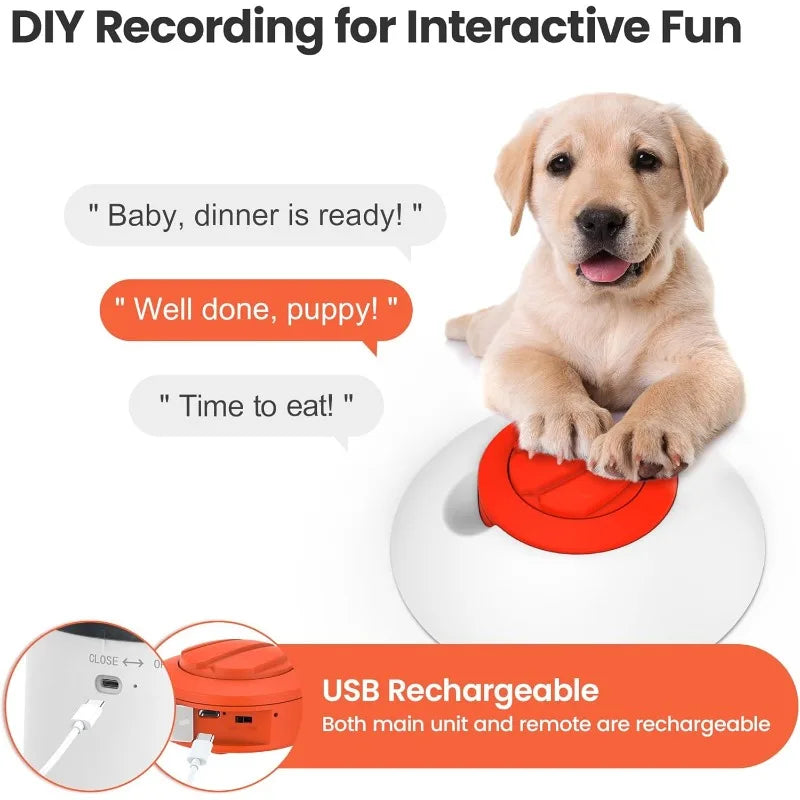 Hign-concerned Dog Puzzle Feeder Interactive IQ Training