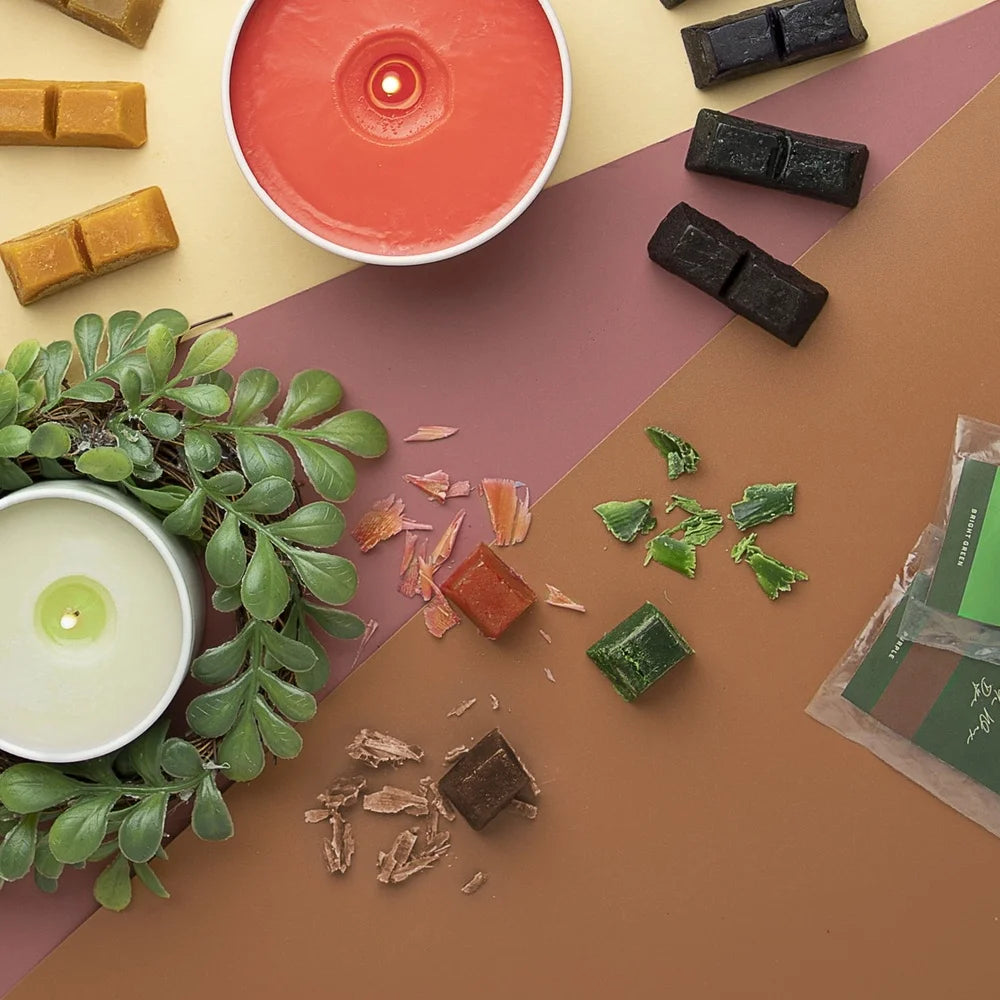 XMSJ Electric Wax Melting Pot Kit With Temperature Control