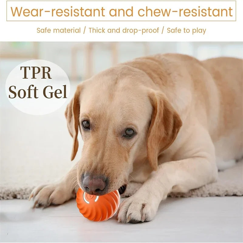 Interactive Smart Dog Toy Ball for Puppies and Kittens