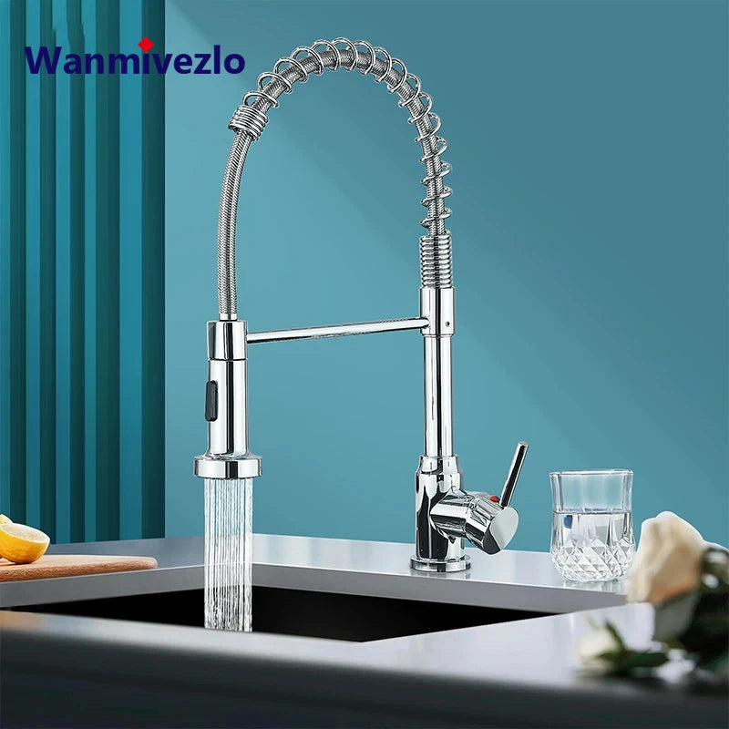 Wanmivezlo Chrome Pull Down Kitchen Faucet With Spray Head