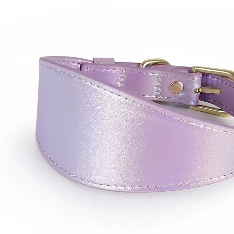 Guangdong Reflective Leather Dog Collar Light Reflecting