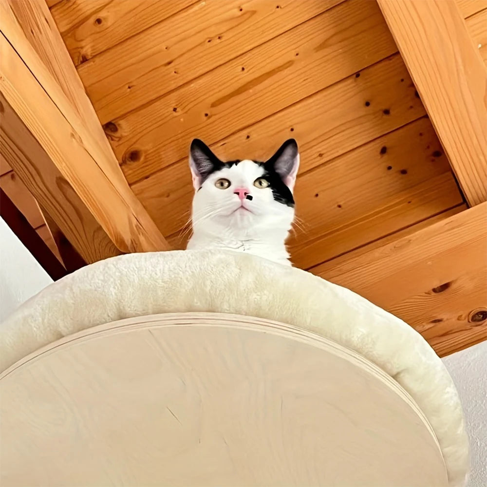 PETRAVELCN Cat Wall Mounted Wooden Climbing Ladder Hammock