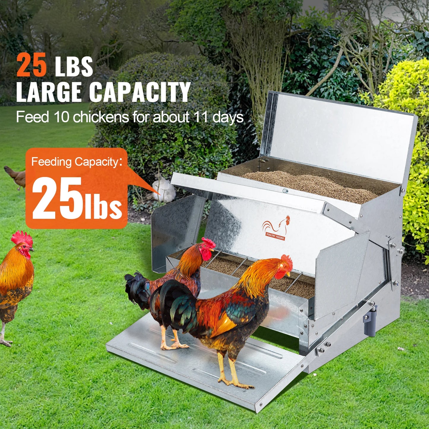 SucceBuy Automatic Chicken Feeder For Poultry Flocks