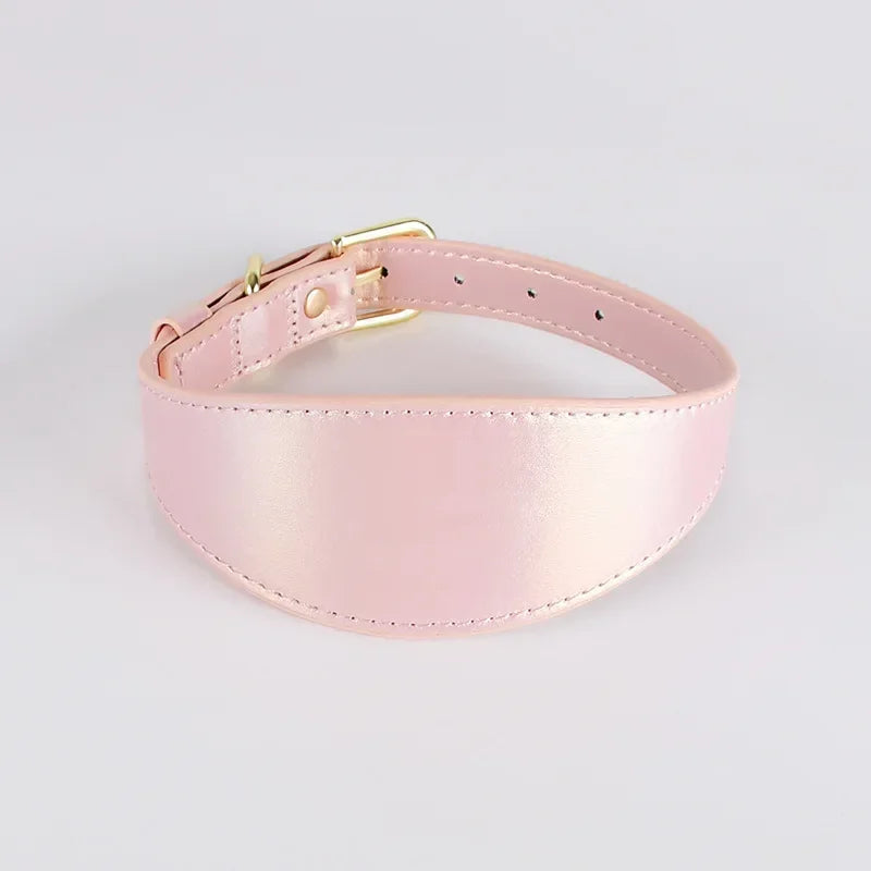 Guangdong Reflective Leather Dog Collar Light Reflecting