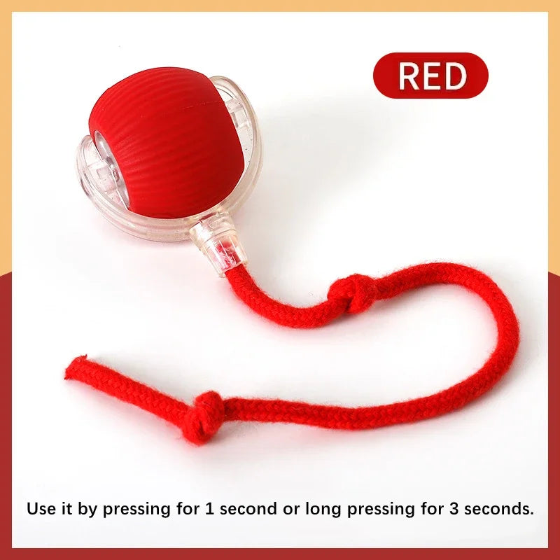 Interactive Smart Dog Toy Ball for Puppies and Kittens