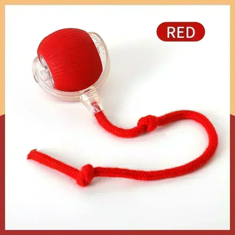 Smart Rechargeable Cat Interactive Ball Toy for Dogs and Cats