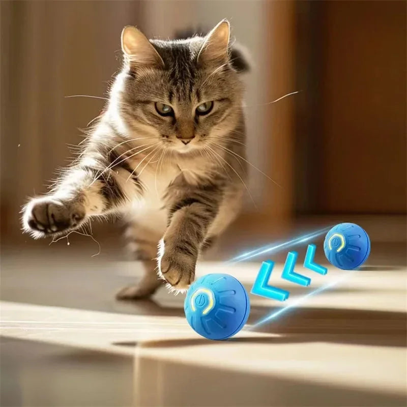 Interactive Smart Dog Toy Ball for Puppies and Kittens