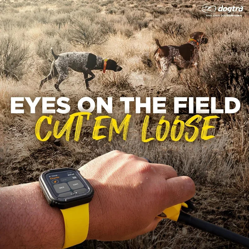 Dogtra Pathfinder 2 GPS E Collar Training Collar Pro