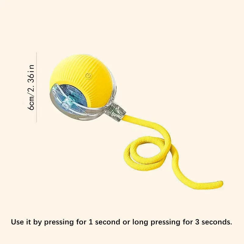Interactive Smart Dog Toy Ball for Puppies and Kittens