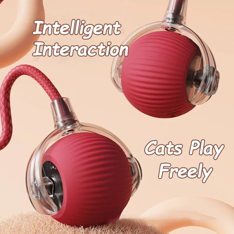 Smart Rechargeable Cat Interactive Rolling Ball Toy with Tail