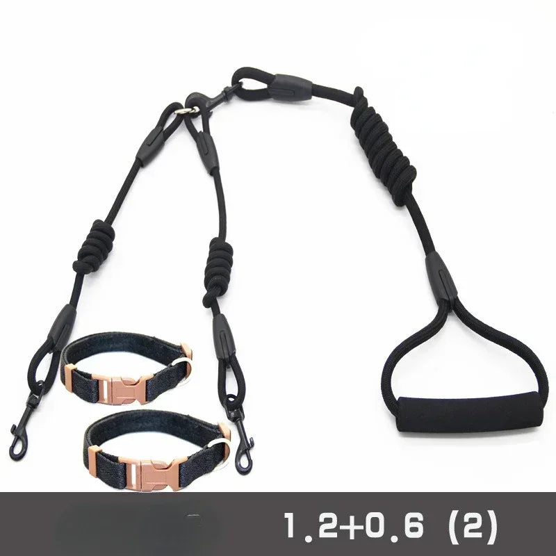 Guangdong Double Nylon Dog Leash With Twin Coupler