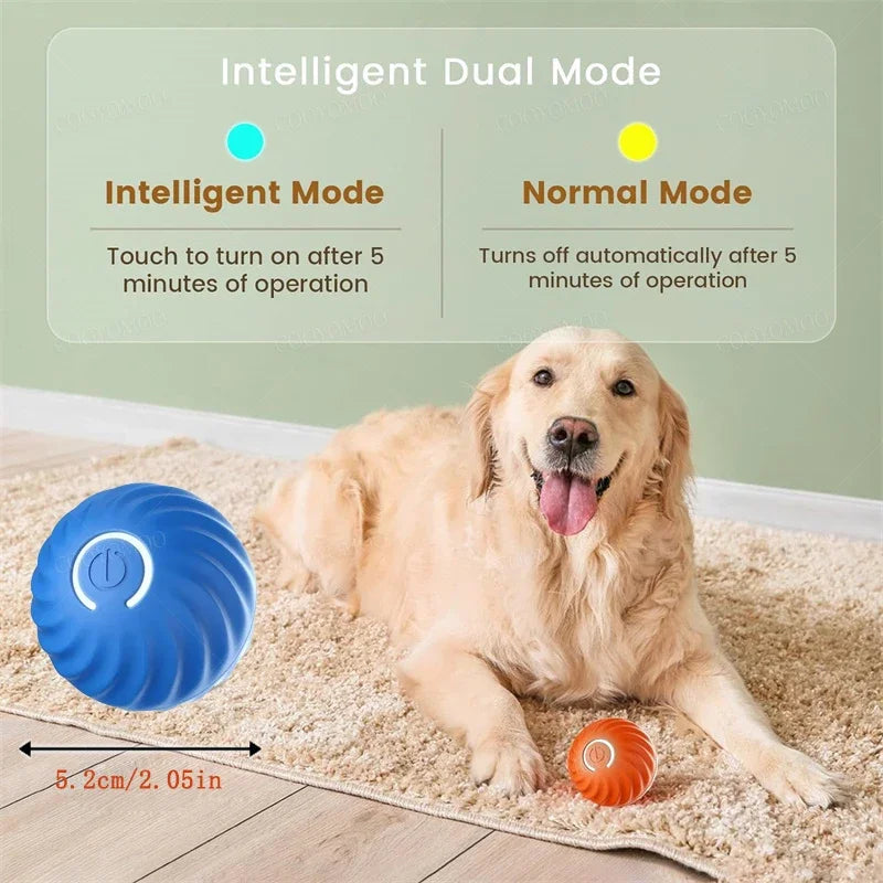 Interactive Smart Dog Toy Ball for Puppies and Kittens