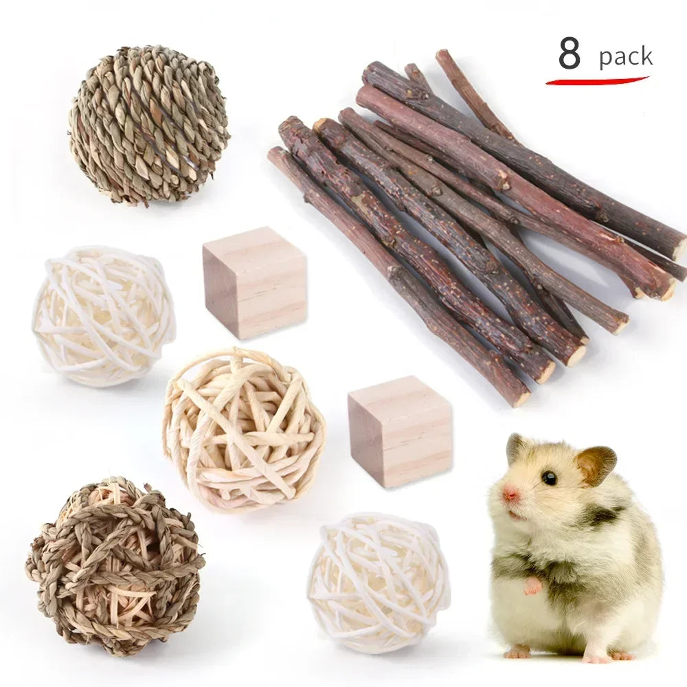 Hign-concerned Wooden Hamster And Small Pet Toys Set