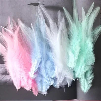 Hign-concerned Chicken Feathers For Crafts And Fly Tying