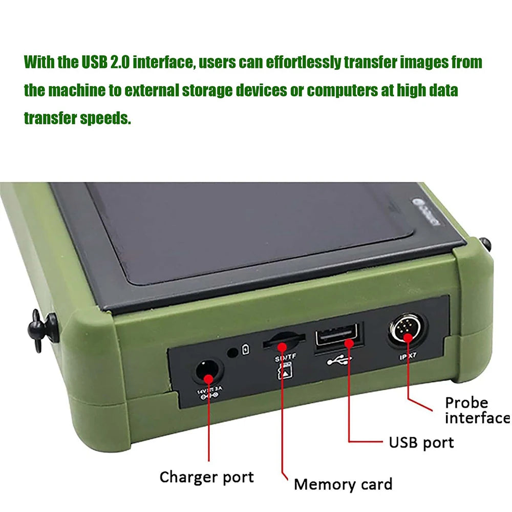 Dawei Veterinary Ultrasound Scanner With 3.5MHz Convex Probe