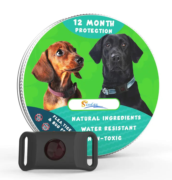 Guangdong Natural Flea and Tick Pendant Collar for Pets