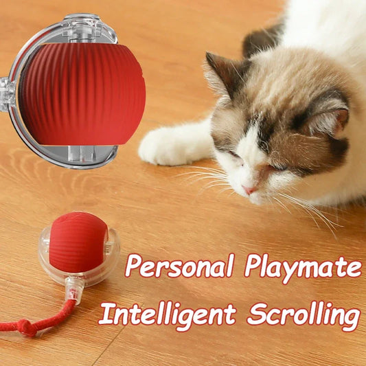 Smart Rechargeable Cat Interactive Rolling Ball Toy with Tail