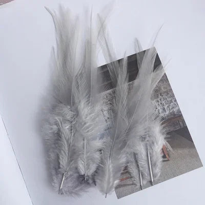 Hign-concerned Chicken Feathers For Crafts And Fly Tying