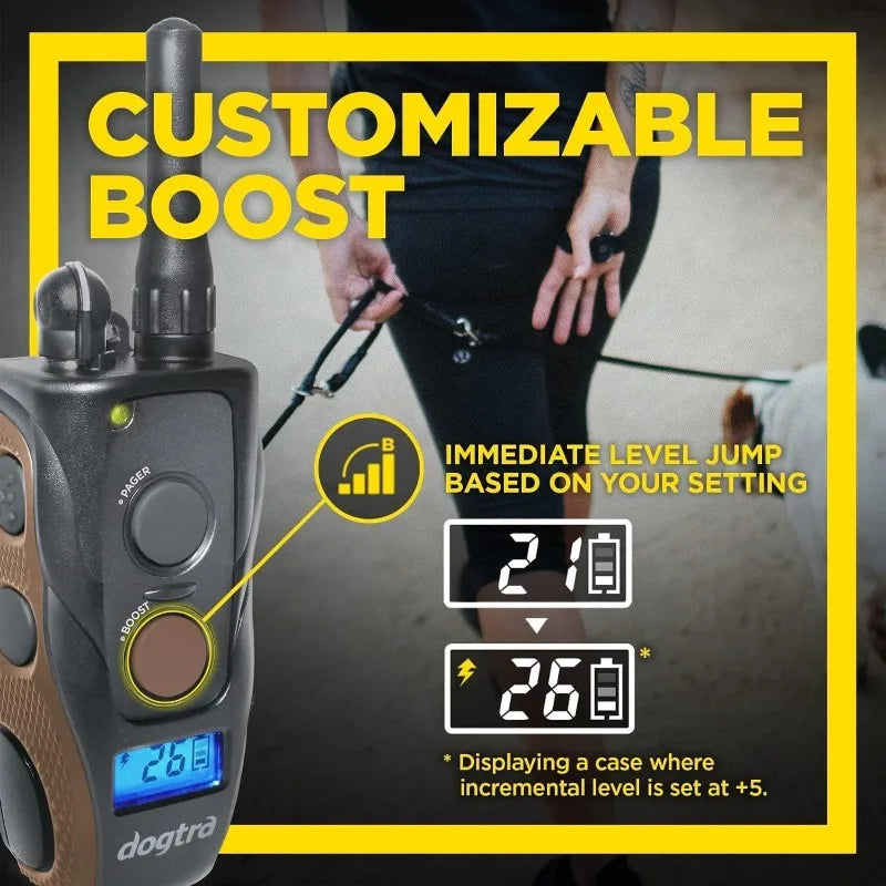 Dogtra Remote Training Collar Handsfree Square Mile Range