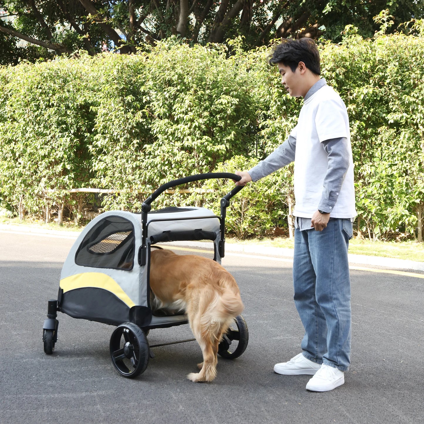 Breed Size Portable Dog Stroller 4 Wheels Foldable Carrier