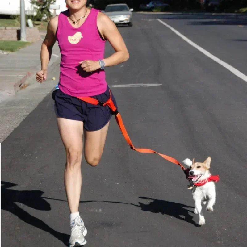 Adjustable Hands-Free Dog Leash for Walking and Jogging