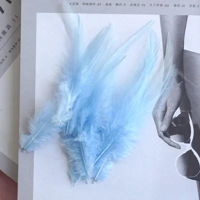 Hign-concerned Chicken Feathers For Crafts And Fly Tying
