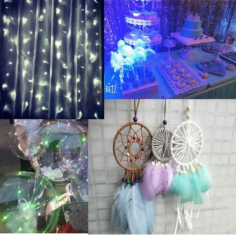 Hign-concerned Chicken Feathers For Crafts And Fly Tying