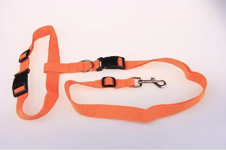 Adjustable Hands-Free Dog Leash for Walking and Jogging