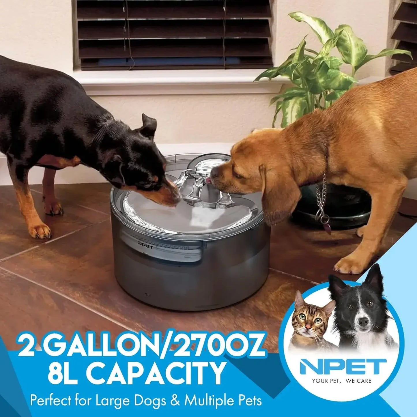 NPET 2 Gallon Dog Water Fountain Automatic Dispenser for Pets