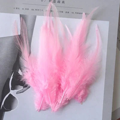 Hign-concerned Chicken Feathers For Crafts And Fly Tying