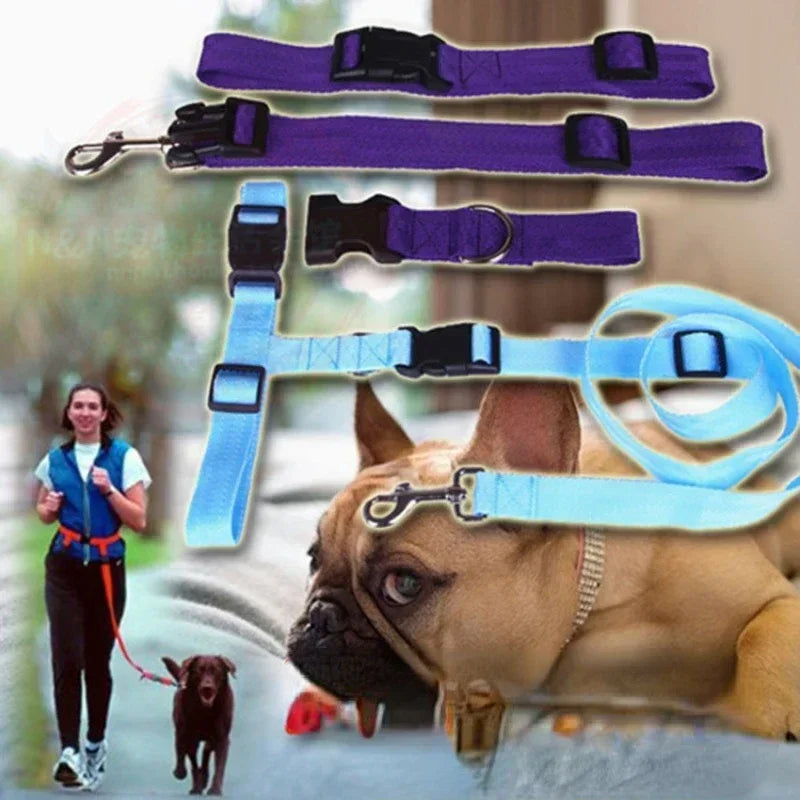 Adjustable Hands-Free Dog Leash for Walking and Jogging