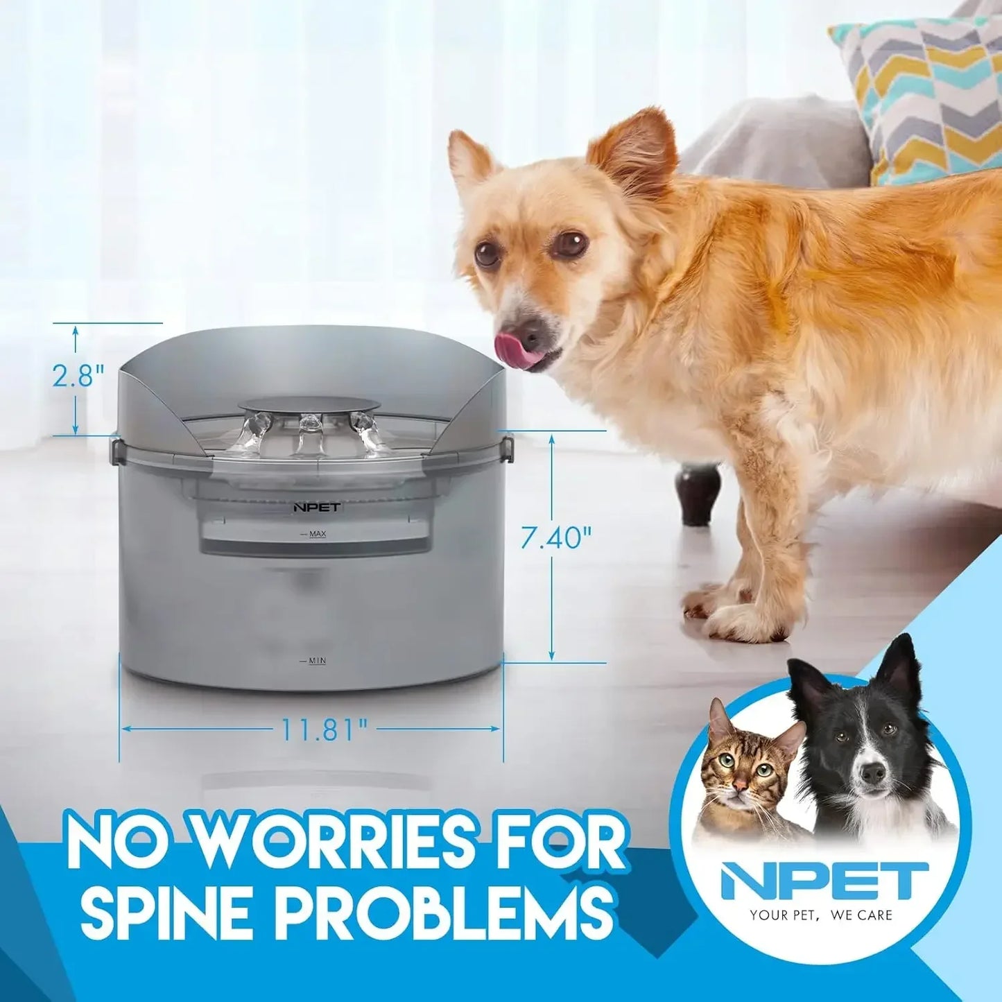 NPET 2 Gallon Dog Water Fountain Automatic Dispenser for Pets