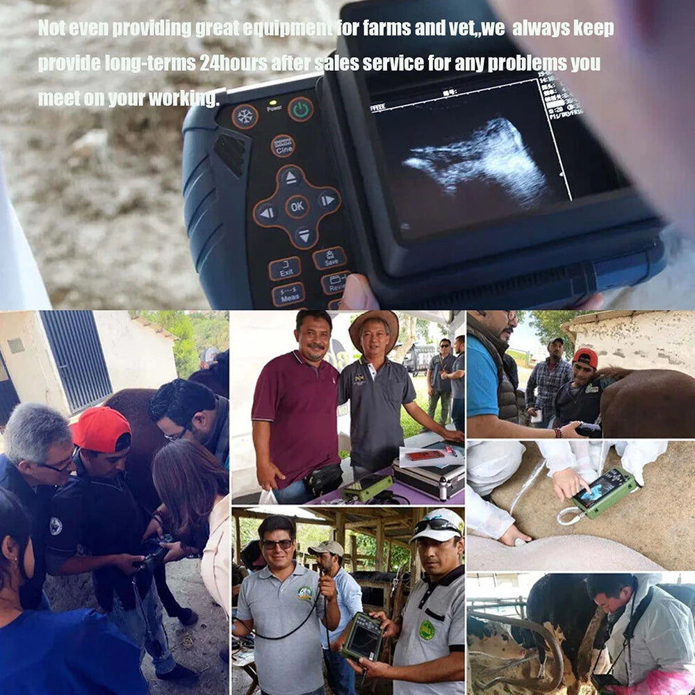 Dawei Veterinary Ultrasound Scanner With 3.5MHz Convex Probe