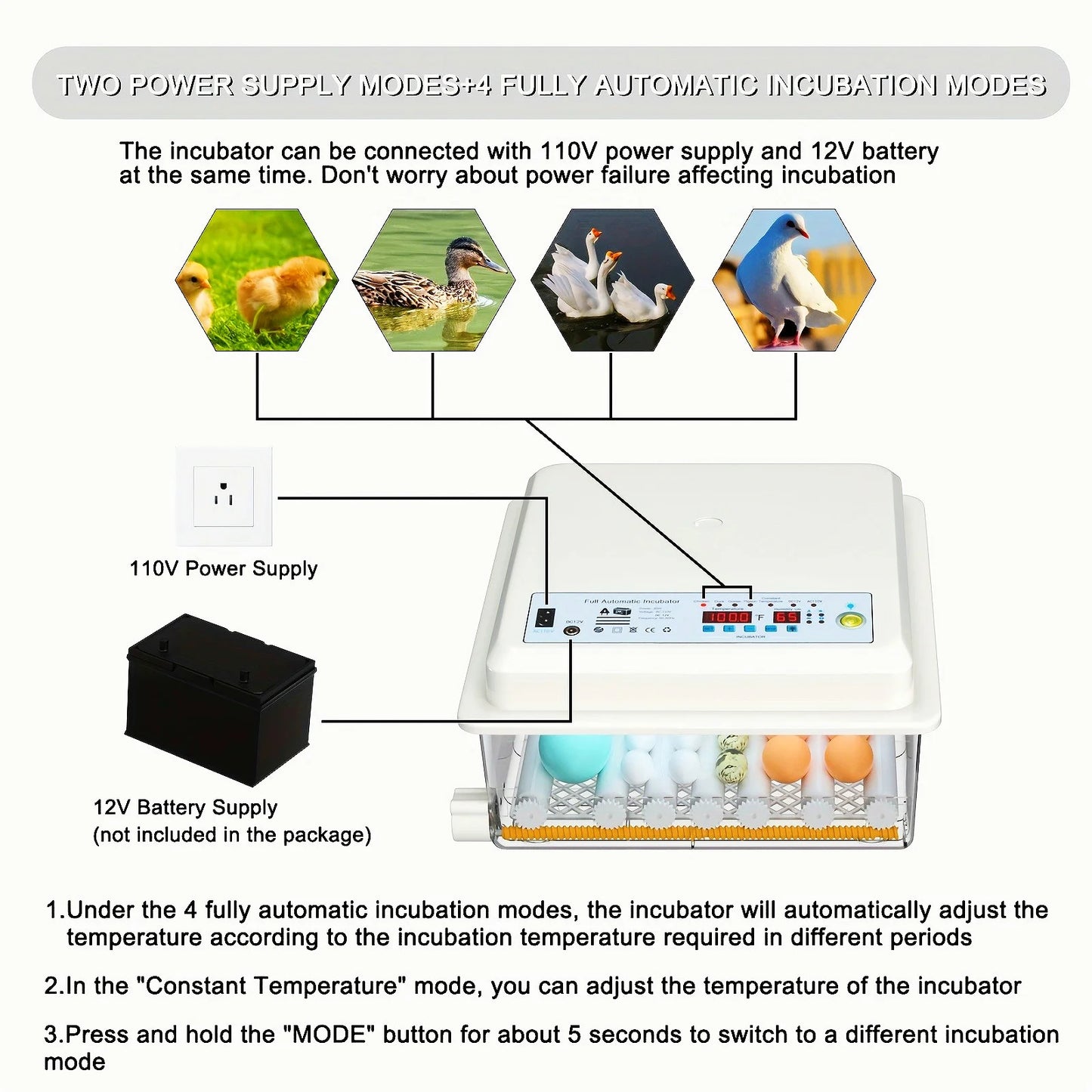 Haocheng Automatic Egg Turning Humidity Control Incubator
