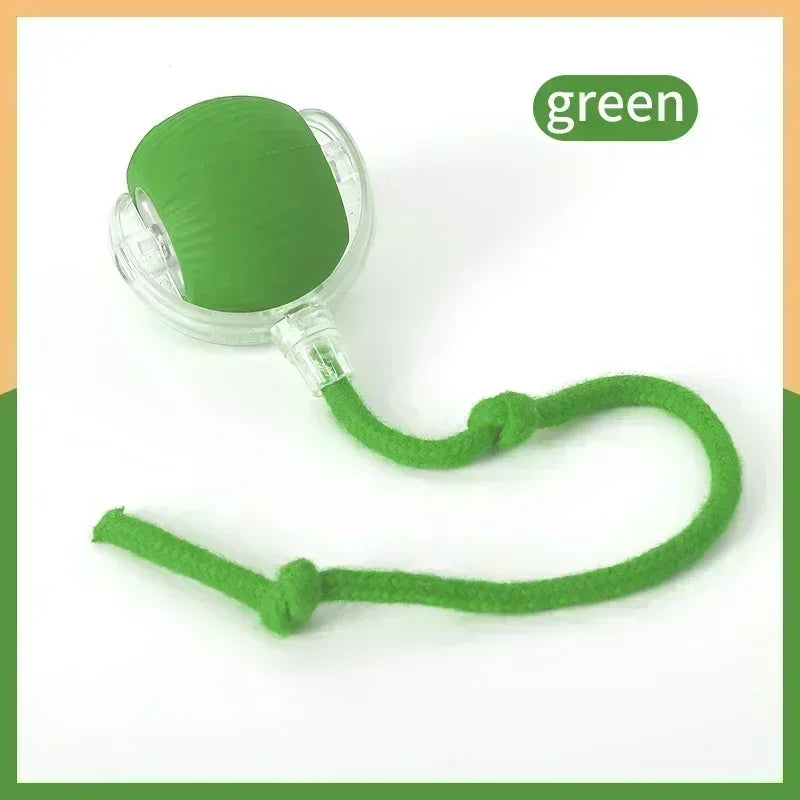 Smart Rechargeable Cat Interactive Ball Toy for Dogs and Cats