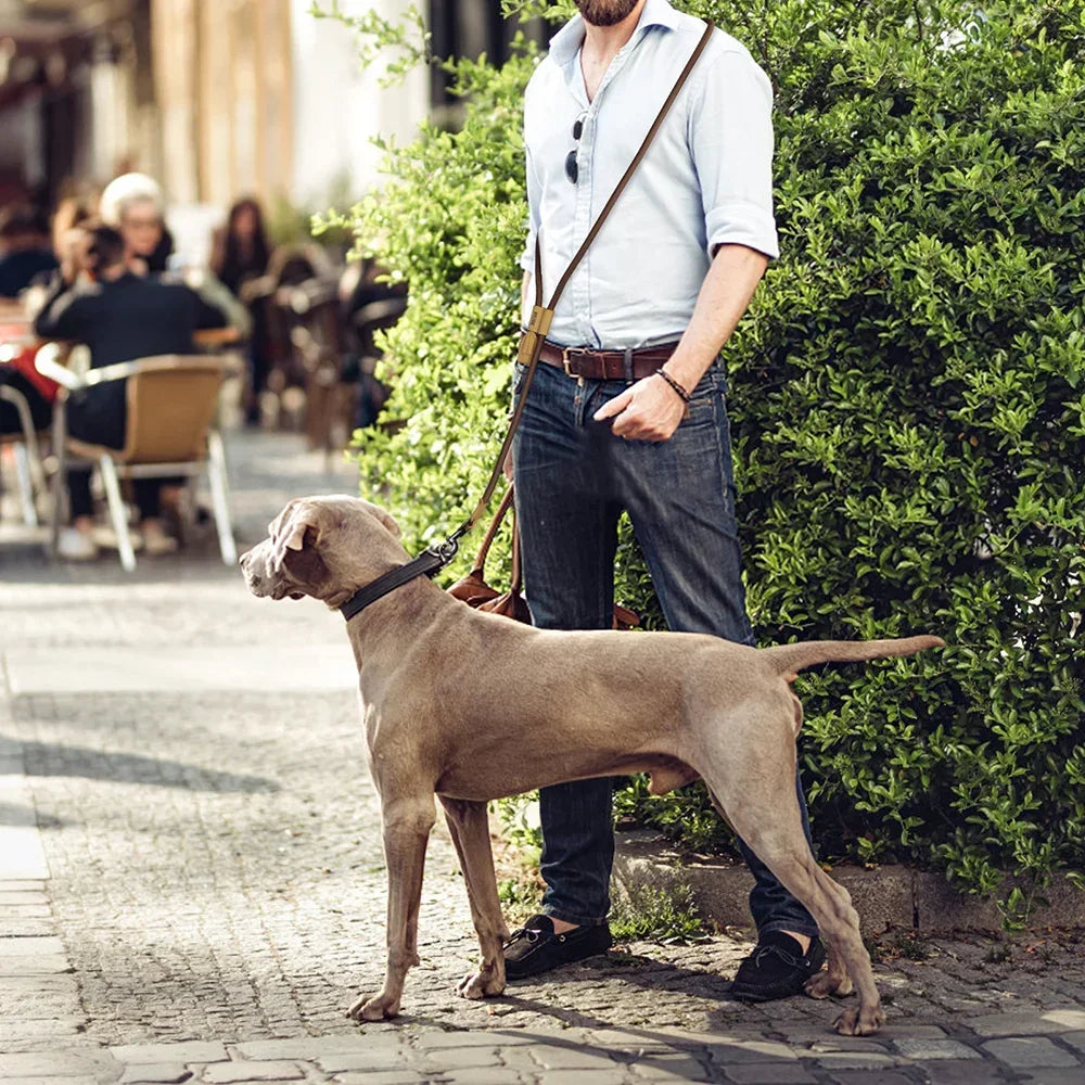 Henshine Dog Gear Hands Free Leash For Running And Walking