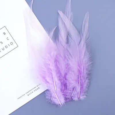 Hign-concerned Chicken Feathers For Crafts And Fly Tying