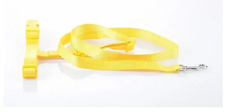 Adjustable Hands-Free Dog Leash for Walking and Jogging