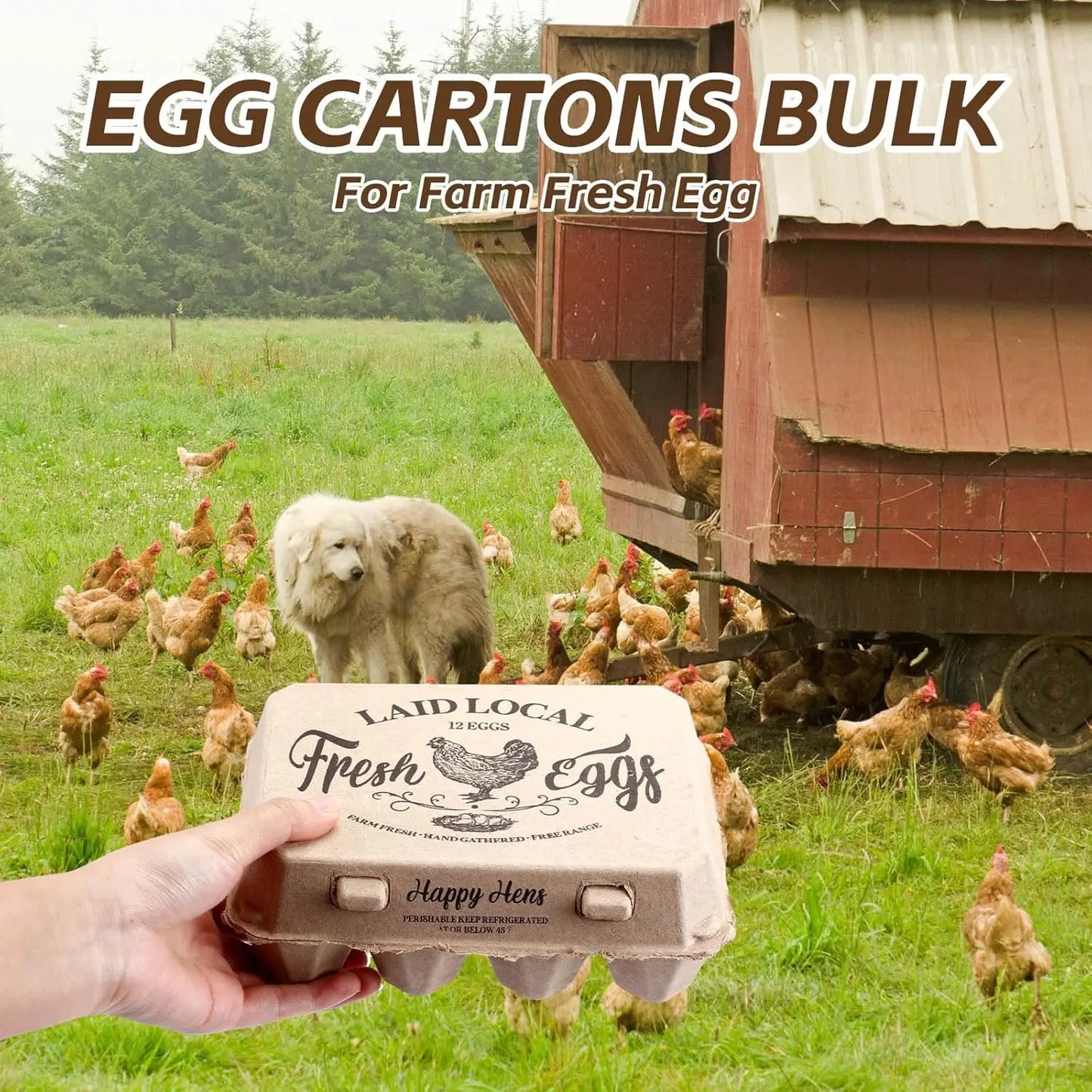 XMSJH Egg Carton 100 Pack 12 Count Vintage Recycled Paper