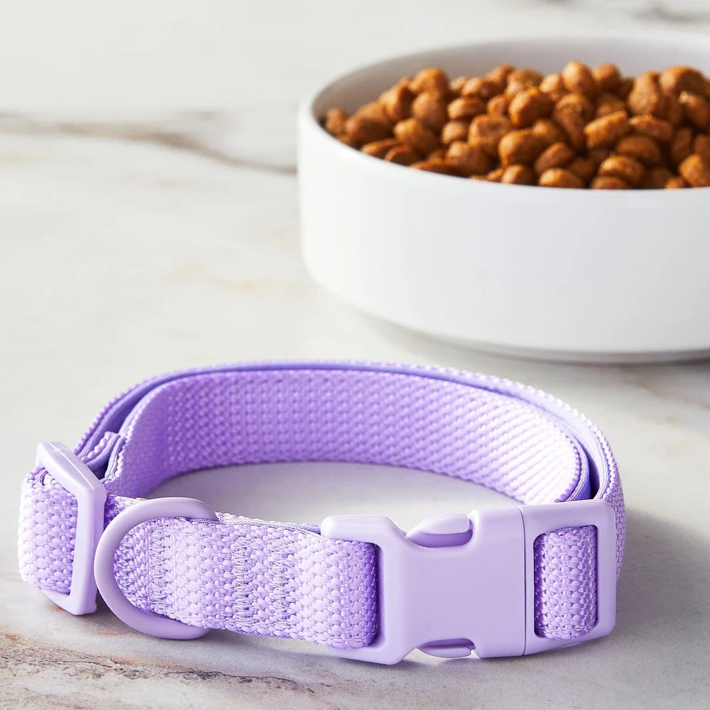 XMSJ Adjustable Neoprene Dog Collar With D Ring Buckle