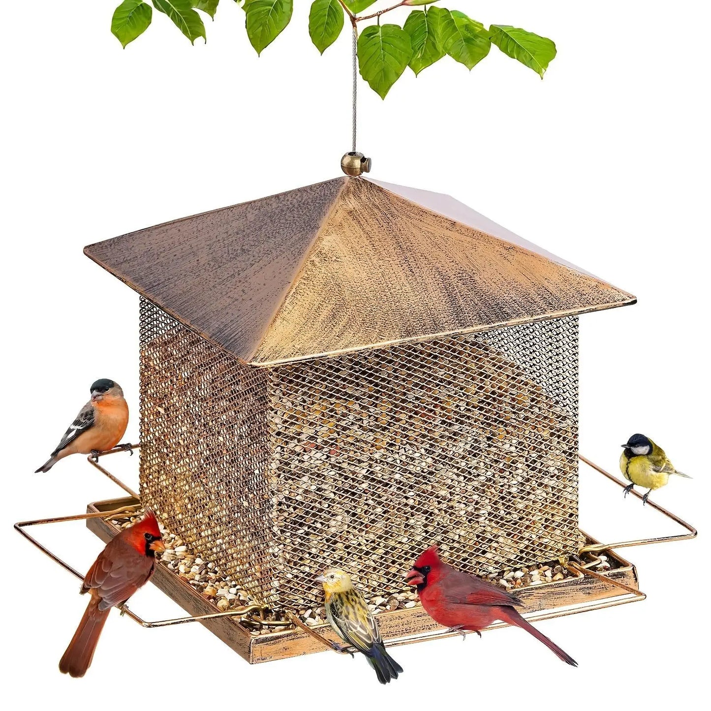 Hign Concerned Outdoor Heavy Duty Anti Squirrel Bird Feeder