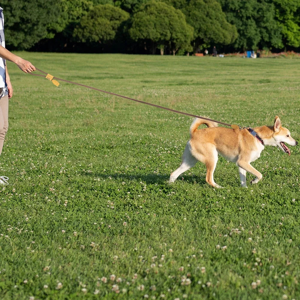 Henshine Dog Gear Hands Free Leash For Running And Walking