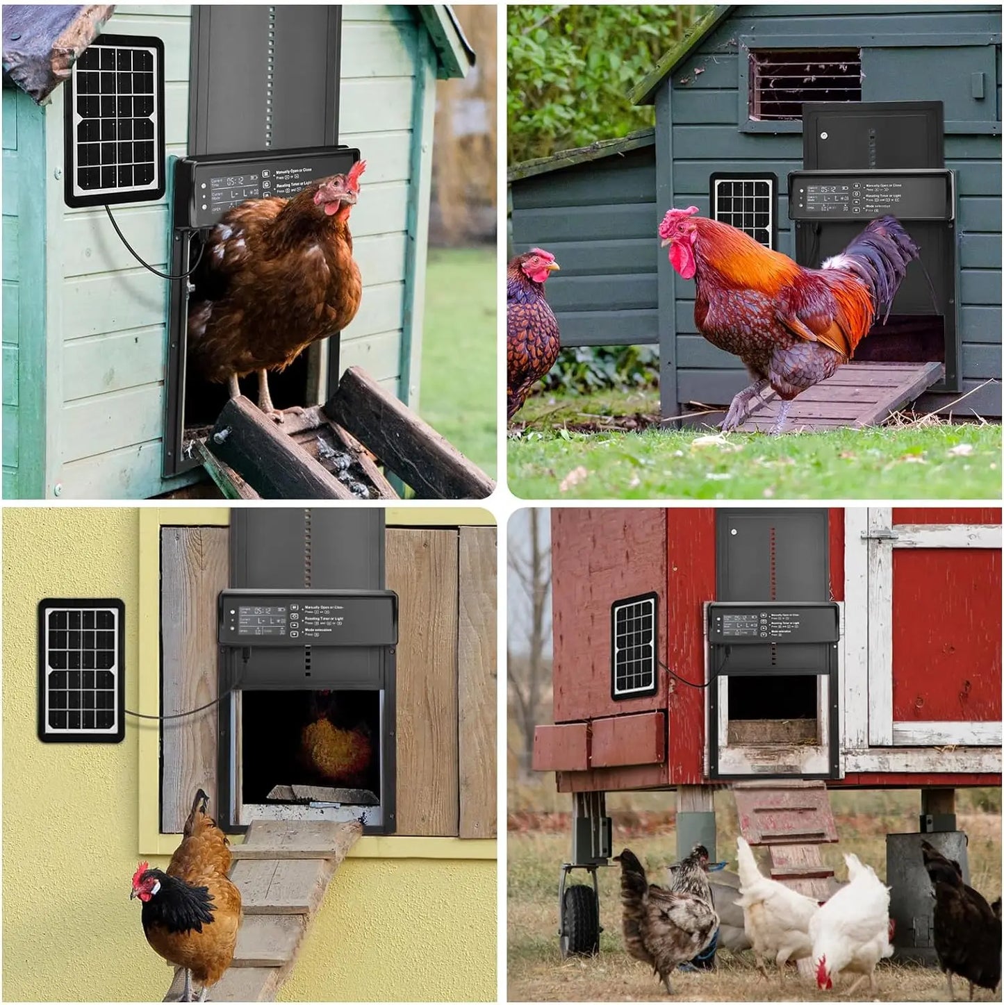 Solar Powered Automatic Chicken Coop Door with Timer and Sensor