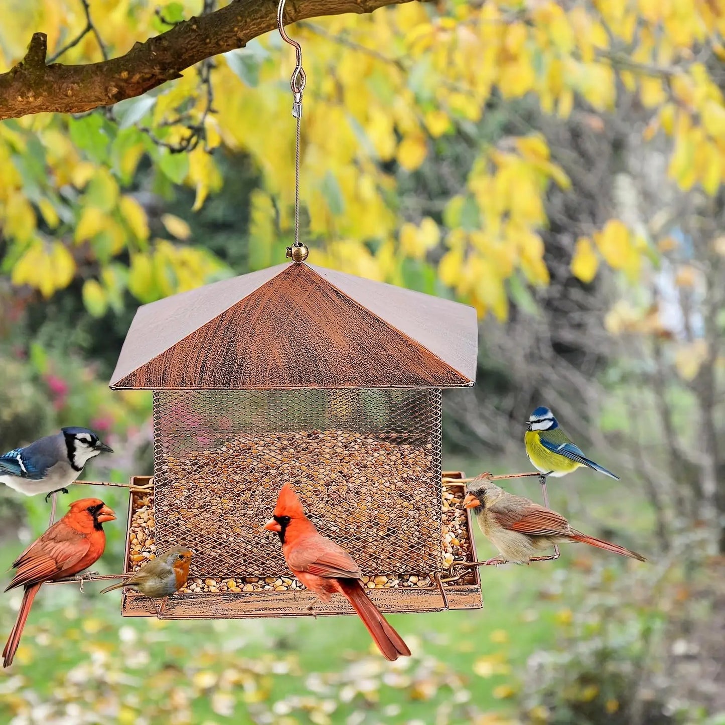 Hign Concerned Outdoor Heavy Duty Anti Squirrel Bird Feeder