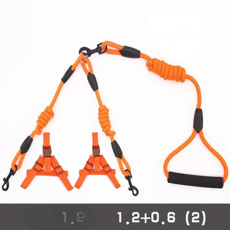 Guangdong Double Nylon Dog Leash With Twin Coupler